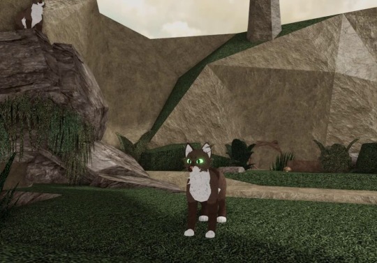 warrior cats forest territory roblox discord